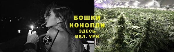дурь Вяземский