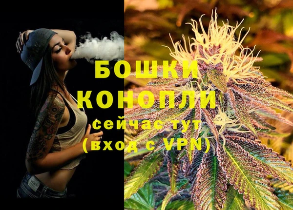дурь Вяземский