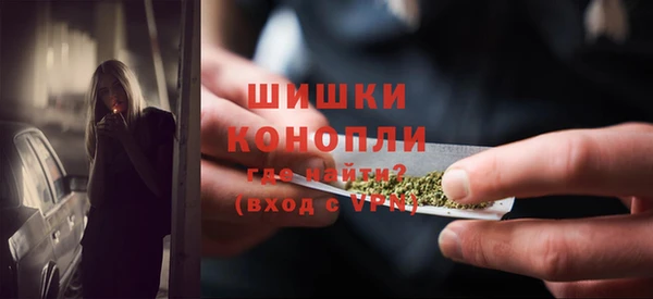 дурь Вяземский