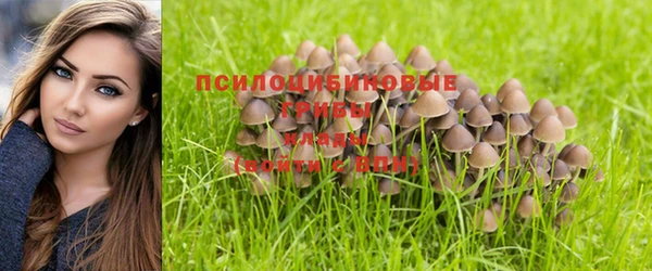 гидропоника Вязники