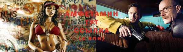 дурь Вяземский