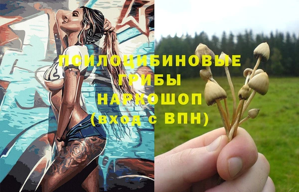 гидропоника Вязники