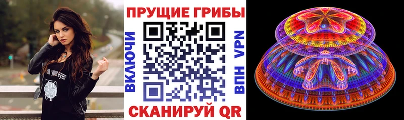 Галлюциногенные грибы Cubensis  Купить закладки  Дальнереченск 